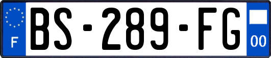 BS-289-FG