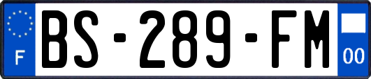 BS-289-FM