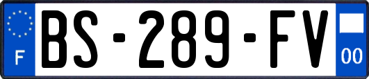 BS-289-FV