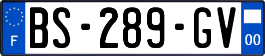 BS-289-GV