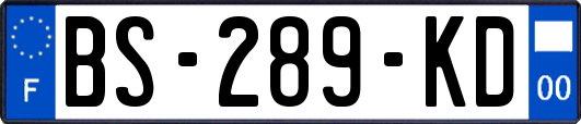 BS-289-KD