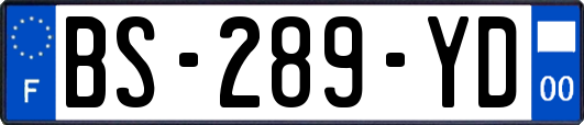BS-289-YD