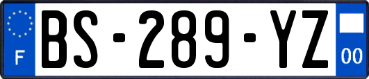 BS-289-YZ