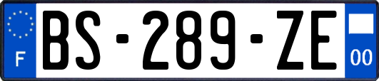 BS-289-ZE