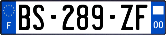 BS-289-ZF