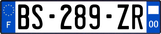 BS-289-ZR