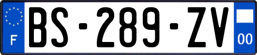 BS-289-ZV
