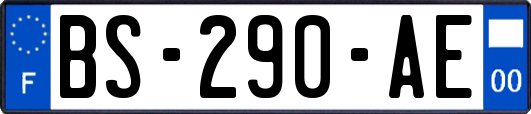 BS-290-AE