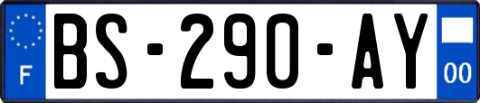 BS-290-AY