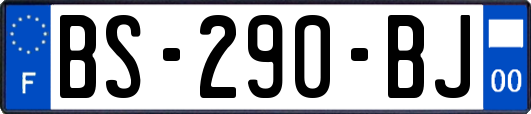 BS-290-BJ