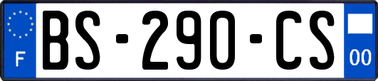 BS-290-CS