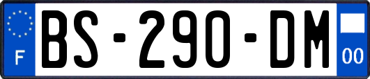 BS-290-DM