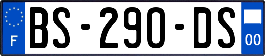 BS-290-DS