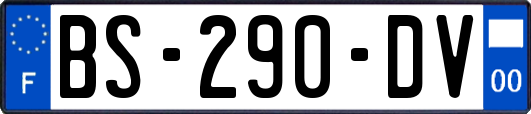 BS-290-DV