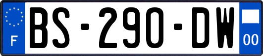 BS-290-DW