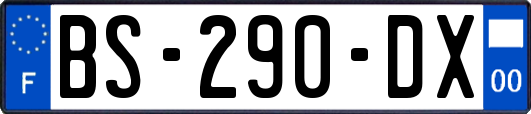 BS-290-DX