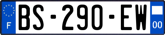 BS-290-EW