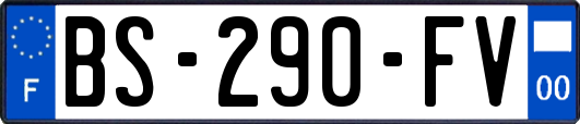 BS-290-FV