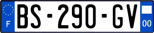 BS-290-GV