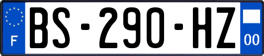 BS-290-HZ