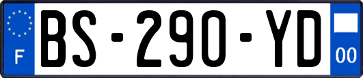 BS-290-YD