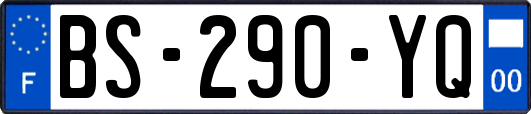 BS-290-YQ