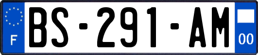 BS-291-AM