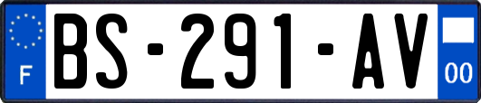 BS-291-AV