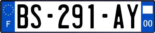 BS-291-AY