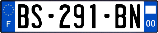 BS-291-BN