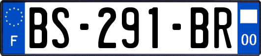 BS-291-BR