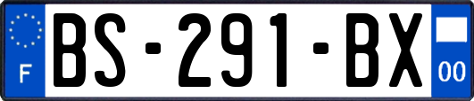 BS-291-BX