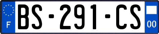 BS-291-CS