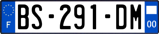 BS-291-DM