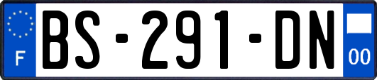 BS-291-DN