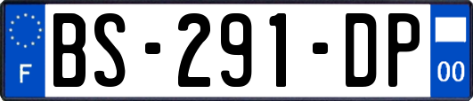BS-291-DP