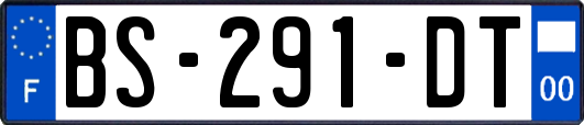 BS-291-DT