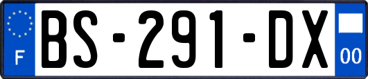 BS-291-DX