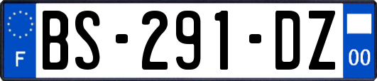 BS-291-DZ