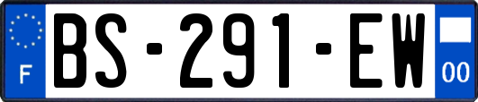 BS-291-EW