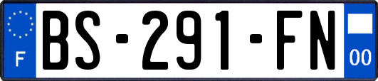 BS-291-FN