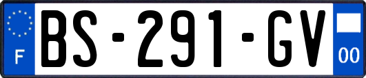 BS-291-GV