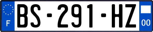 BS-291-HZ