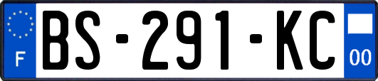 BS-291-KC