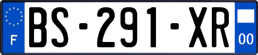 BS-291-XR