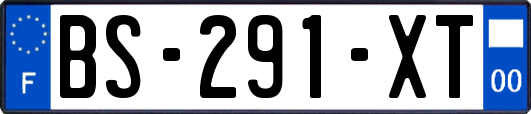 BS-291-XT