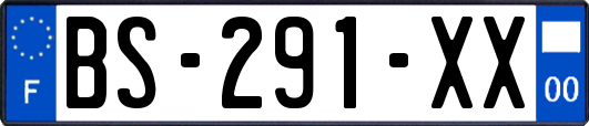 BS-291-XX