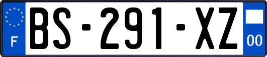 BS-291-XZ