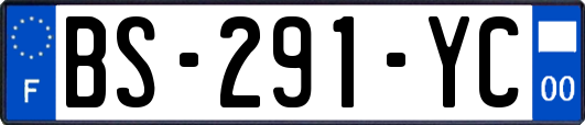 BS-291-YC