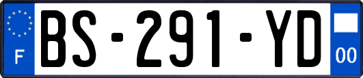 BS-291-YD